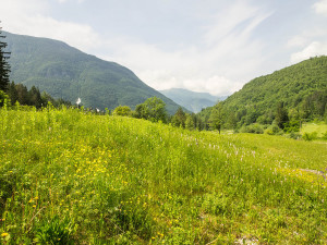 schönes Panorama