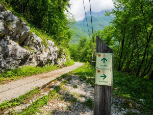 Weg zum Stausee