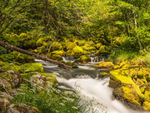 An der Quelle des Glijun