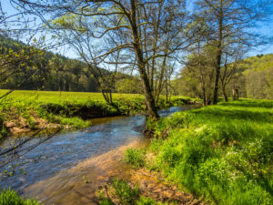 An der Schondra