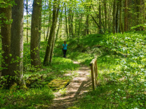 Steg über den Ammelbach