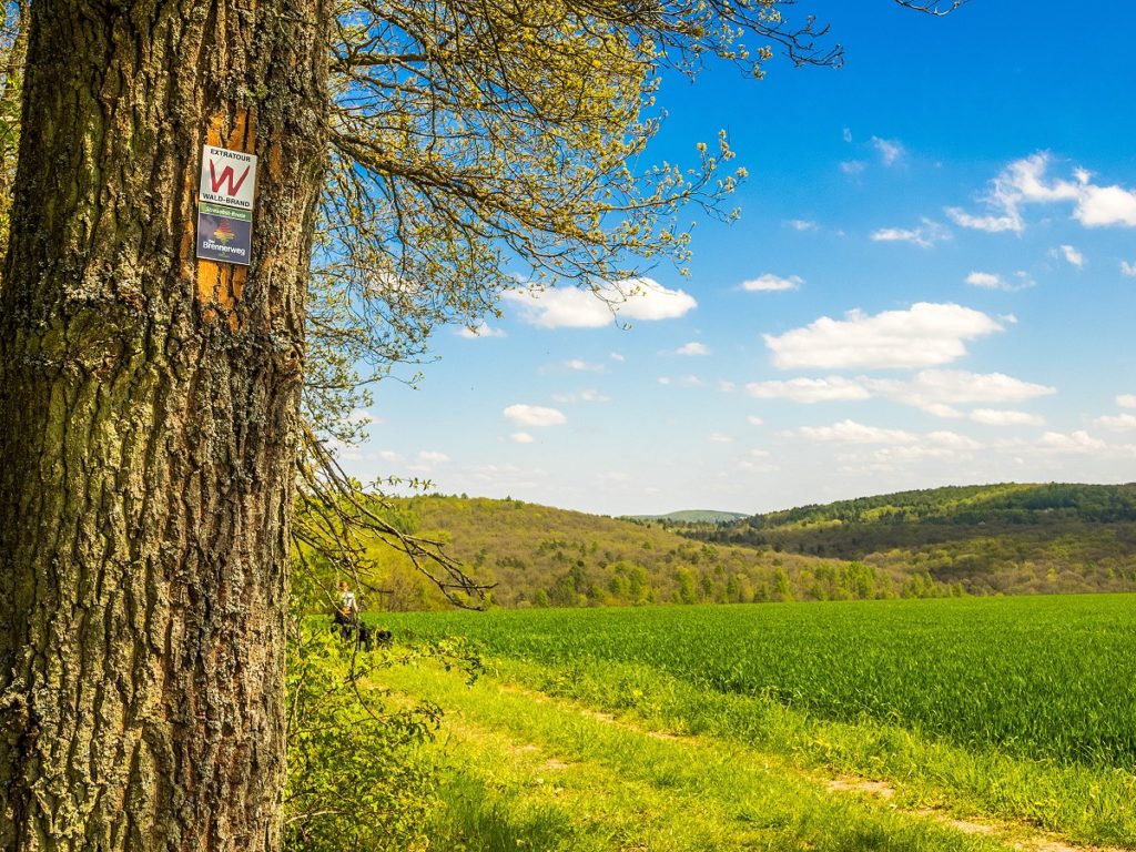 Extratour Waldbrand