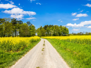 herrliche Landschaft