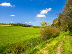 saftige Wiesen und Felder