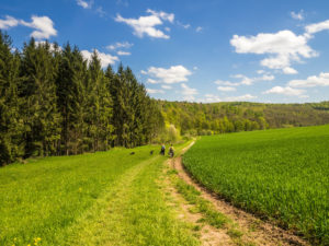 Abstieg ins Klingenbachtal
