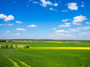 Aussicht auf die Schwarzen Berge der Rhön