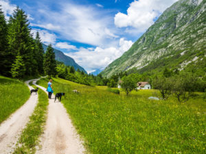 Wunderschöne Landschaft