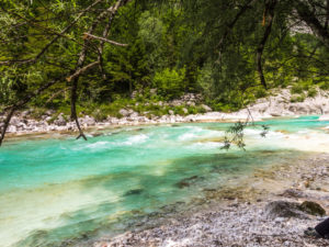 An der Soca in der Nähe von Camp Soca