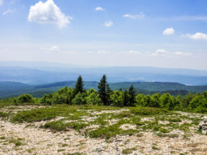 Montagne de Lure - Aussicht