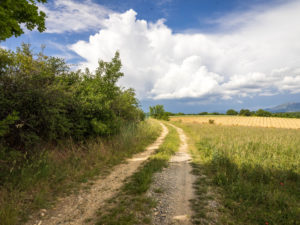 Wanderwege am Wohnmobilstellplatz Puimoisson
