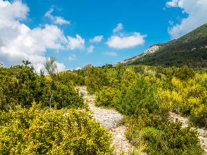 Auf der Nordroute der Verdonschlucht