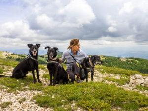 Iris mit den Hunden am Montagne de Lure