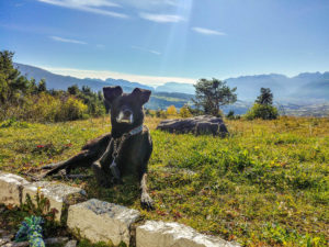 Wohnmobilstellplatz Dovena mit grandioser Aussicht