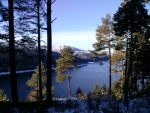 Blick auf den Schluchsee
