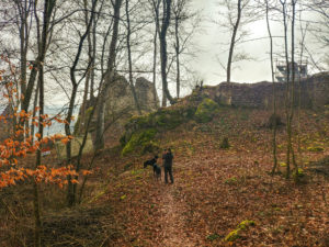 Ruine Kaltenburg
