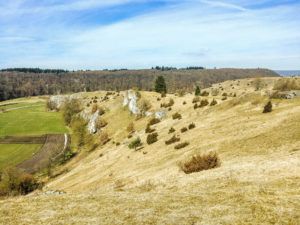 An der Eseslsburg mit Blick auf das Felsenmeer