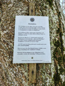 Information über die Eselsburg