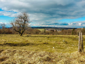 Aussicht auf dem Weg zum Dreiländereck