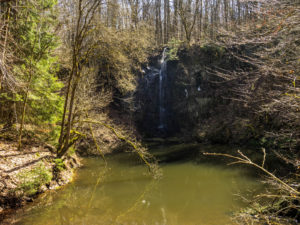 Basaltsee mit Wasserfall im Rhönwald