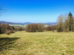 Aussicht auf dem Rückweg zum Thüringer Rhönhaus