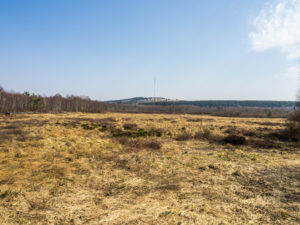 Blick auf den Heidelstein am Aussichtsturm im Roten Moor