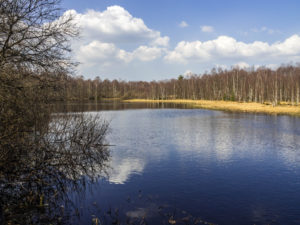 Moorstausee am Roten Moor