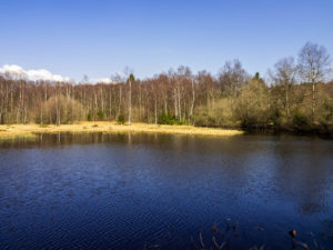 Moorstausee am Roten Moor