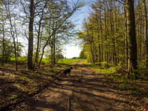 Auf dem Rhön-Rundweg 7
