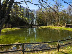 See am Berghaus Rhön