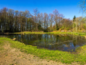 See am Berghaus Rhön