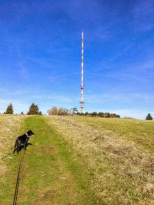Aufstieg zum Heidelstein