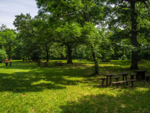 Große Wiese mit Picknickplätzen an der Burgruine Rezi