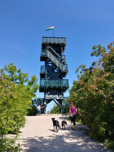 Festetics Aussichtsturm