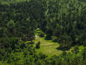 Blick auf die Große Wiese vom Festetics Aussichtsturm