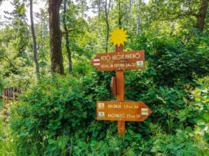 Wegweiser zum Aussichtsturm auf dem Petö-Hegy