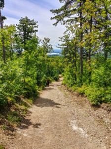 Rückweg vom Aussichtsturm