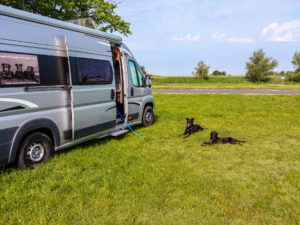Unser Übernachtungsplatz auf der Wiese