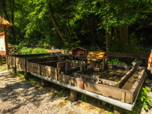 Freilichtmuseum der Forstwirtschaft