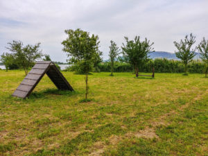 kleiner Agility-Platz auf ATC Merkur