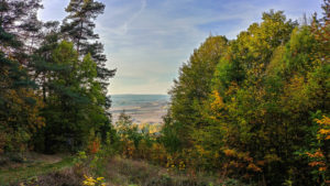 schöne Aussicht am Wegesrand