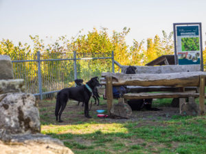 kleine Rast an der Ruine Bramberg