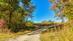herbstliche Landschaft im Steigerwald