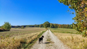 herbstliche Landschaft im Steigerwald