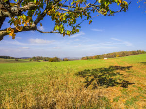 Aussicht auf dem Weg zurück zum Gipfel der Hohen Geba