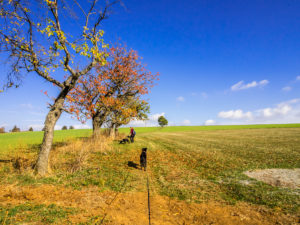 Wanderweg Rhön-Rundweg 2