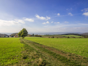 Aussicht auf dem Weg zurück zum Gipfel der Hohen Geba