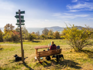 Rast an der Wilhelmsruh