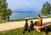 Camping am Gardasee mit Hund - Manerba del Garda
