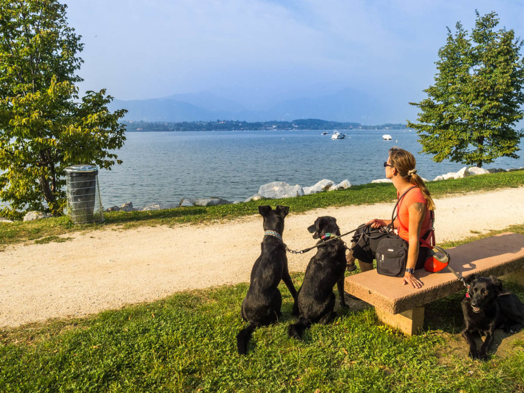 Camping am Gardasee mit Hund - Manerba del Garda