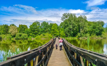 Brücke zum Arboretum am Deseda-See | Wohnmobil-Reise Ungarn